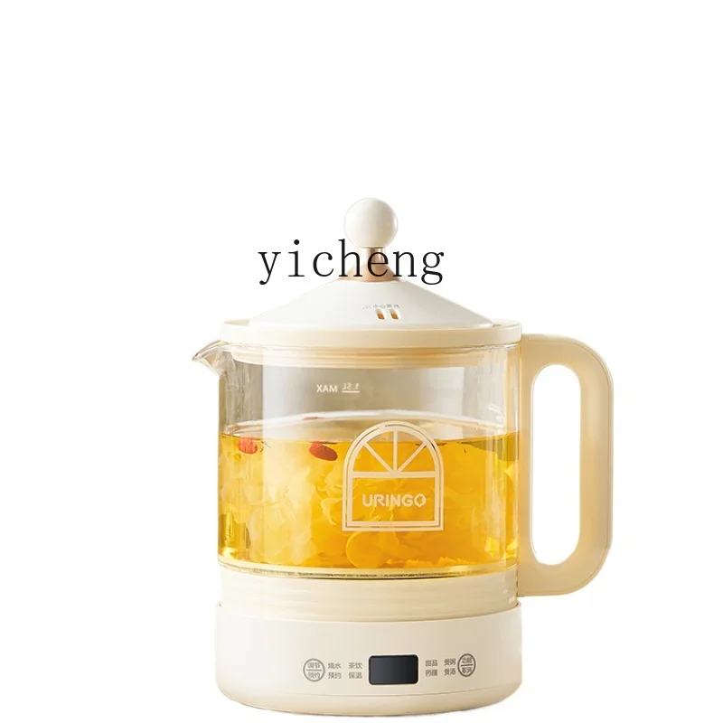 Health & Wellness Nurse Coach - Health Pot Small Household Multi-Function Tea