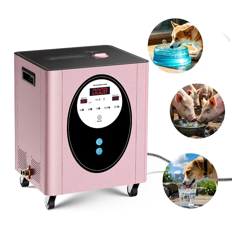 Suyzeko Biohacking Longevity W - Health Wellness Club 评论和价格