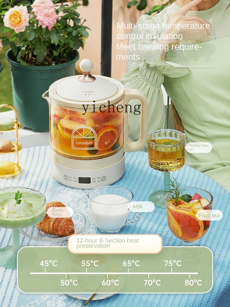 Health Pot Small Household Mul - Health & Wellness Nurse Coach 评论和价格