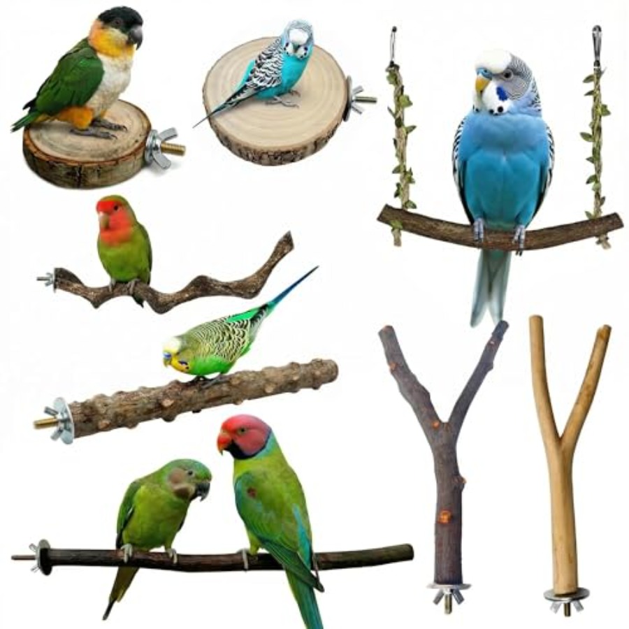 8PCS natural wood bird perches - Health & Wellness Nurse Coach 评论和价格