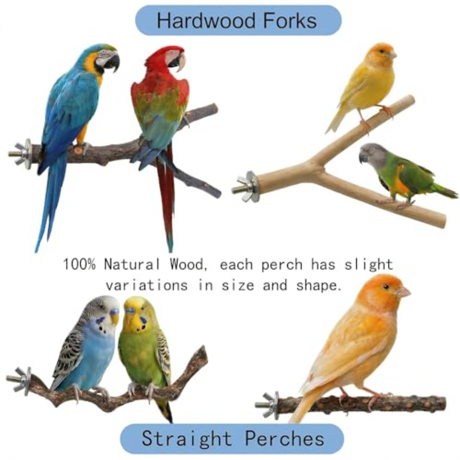 8PCS natural wood bird perches - Health & Wellness Nurse Coach 评论和价格